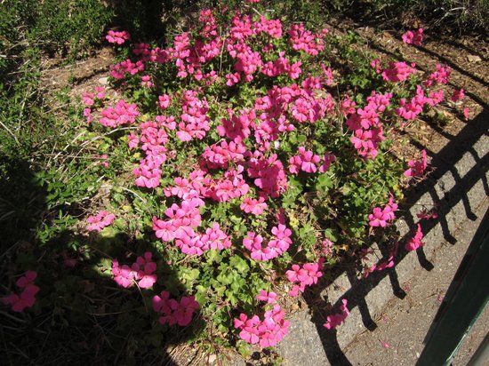 University of California Riverside Botanic Gardens